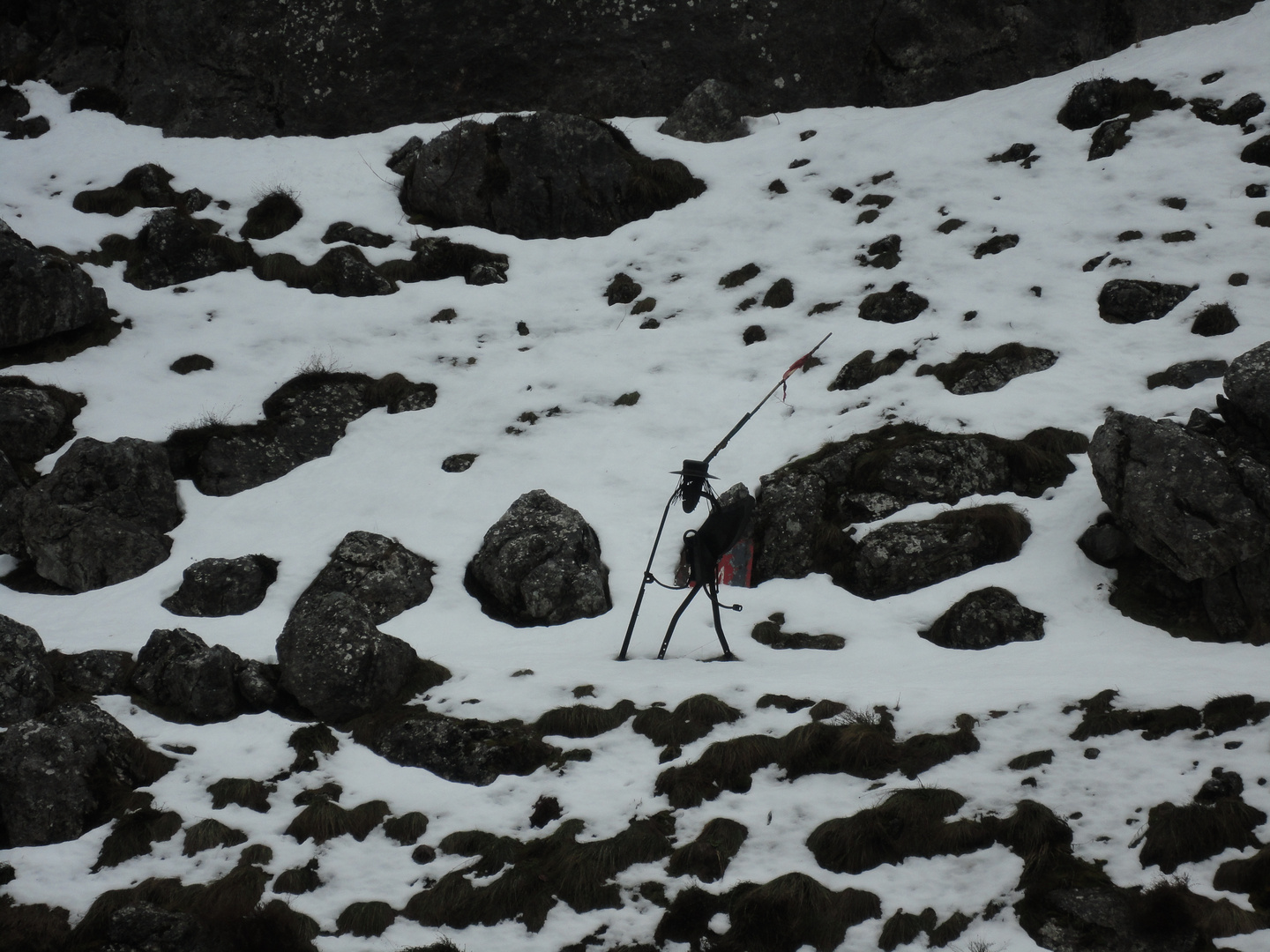 Caminante solitario