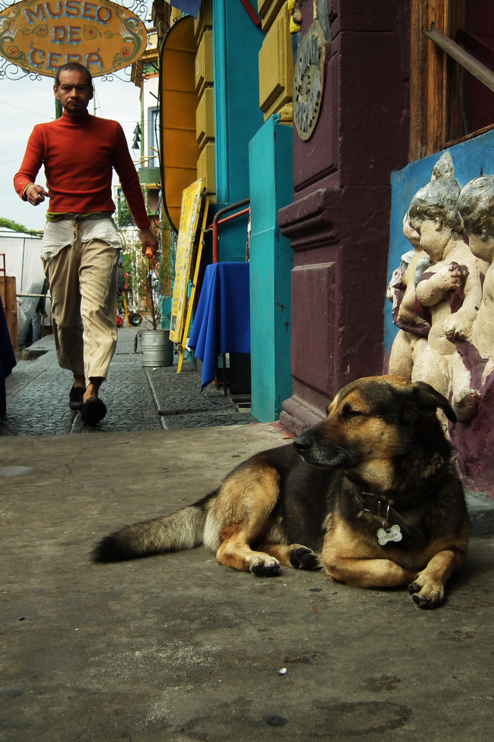 Caminante y Perro en Caminito