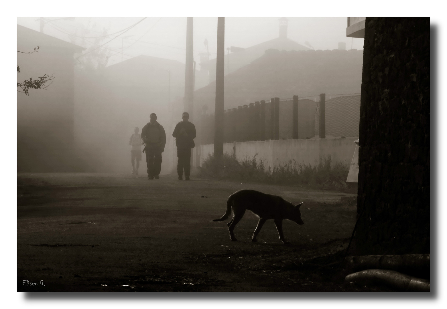 Caminantes