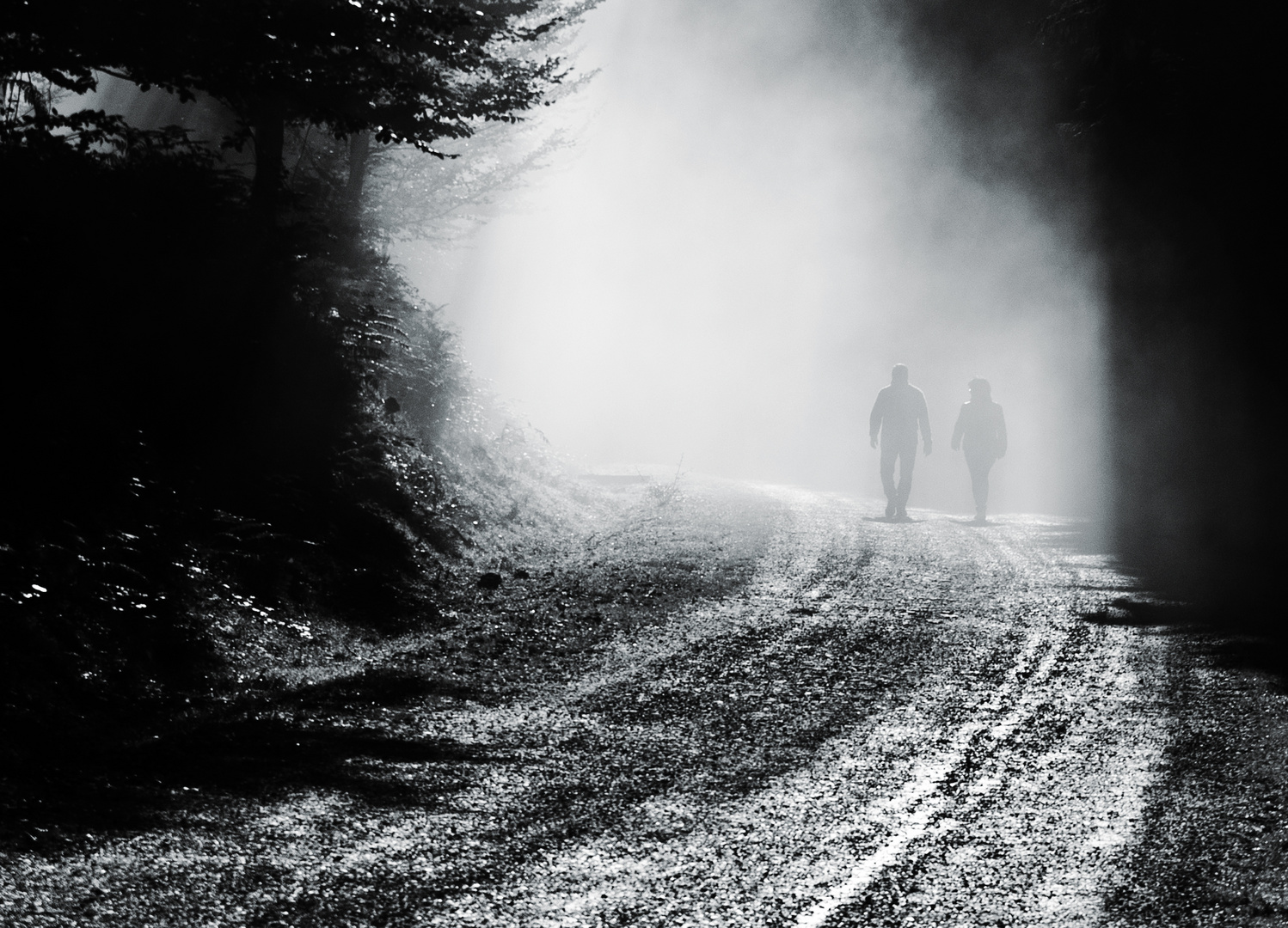 Caminantes en la niebla:
