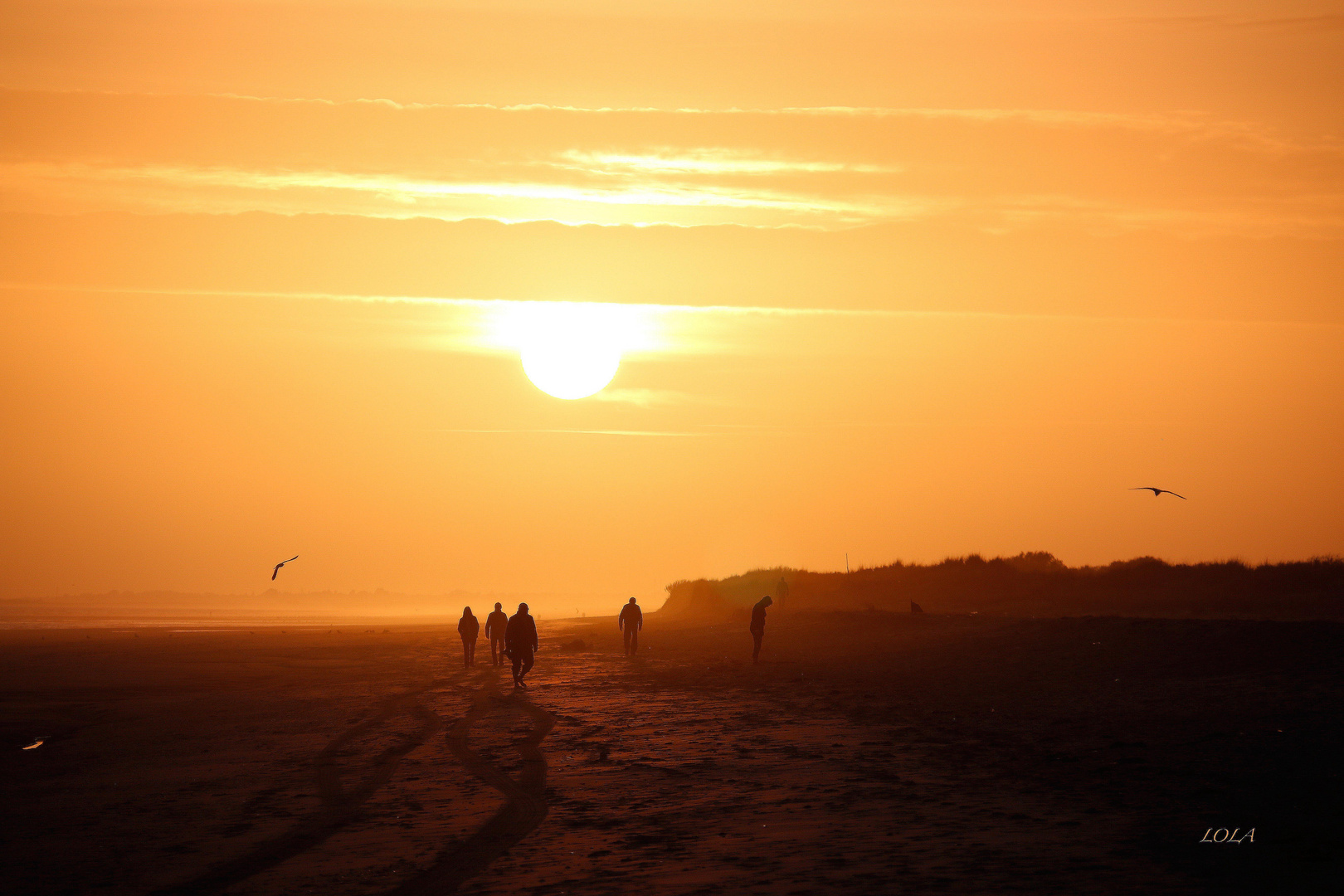 CAMINANTES, NO HAY CAMINO…..