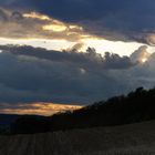 caminata de la tarde