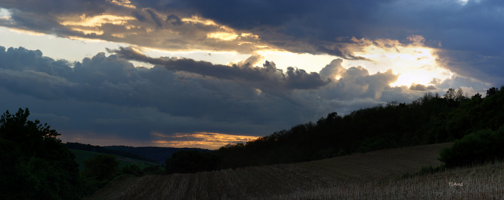 caminata de la tarde