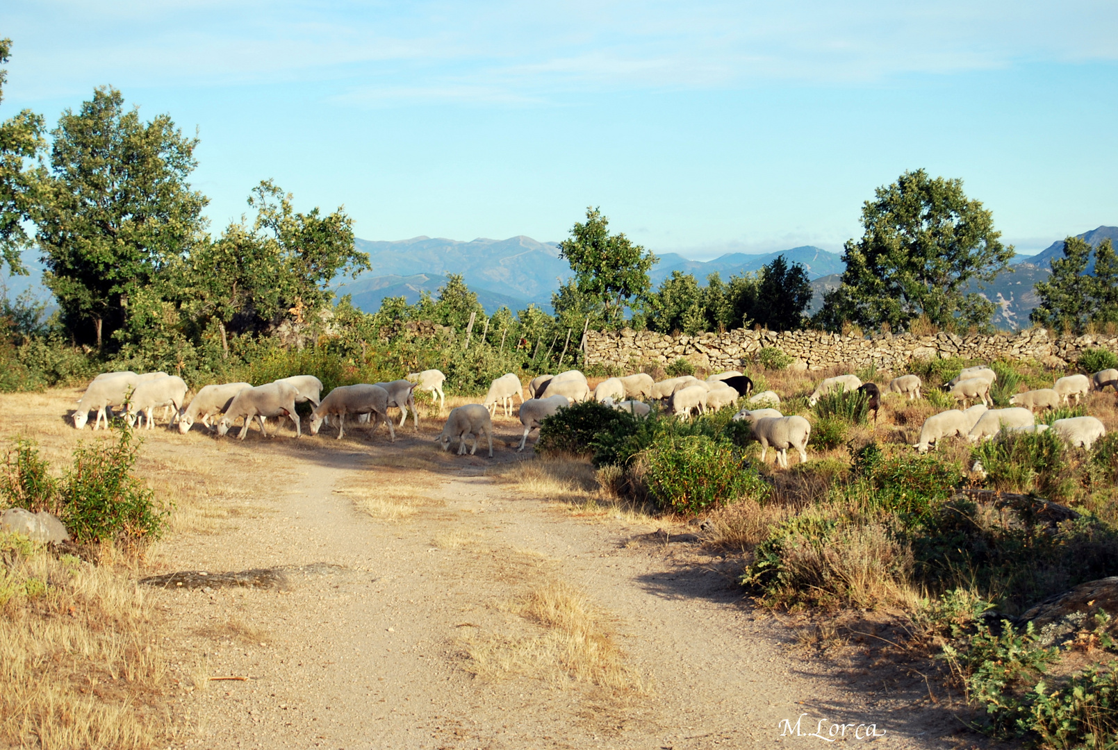 caminata des pues de un mes