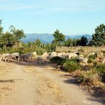 caminata des pues de un mes