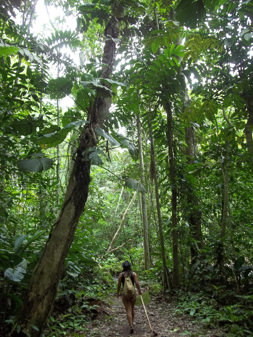 Caminata en el Área de Conservación Regional Cordillera Escalera