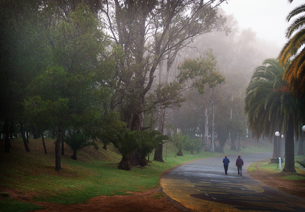 Caminata en la niebla