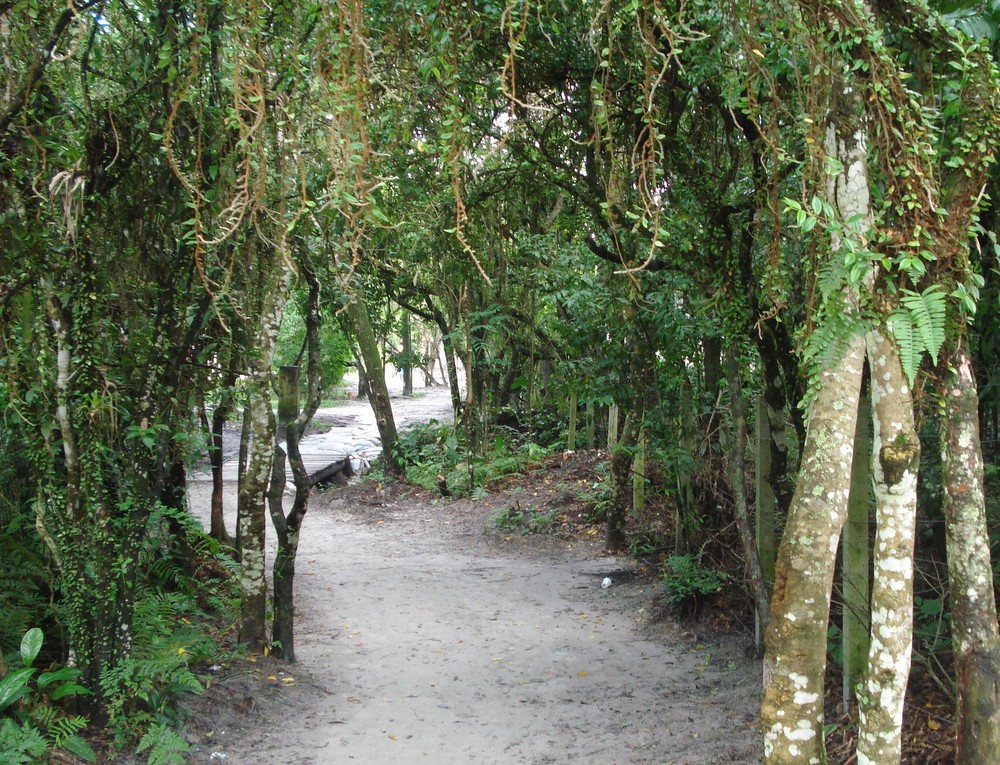 caminho da "vovó"