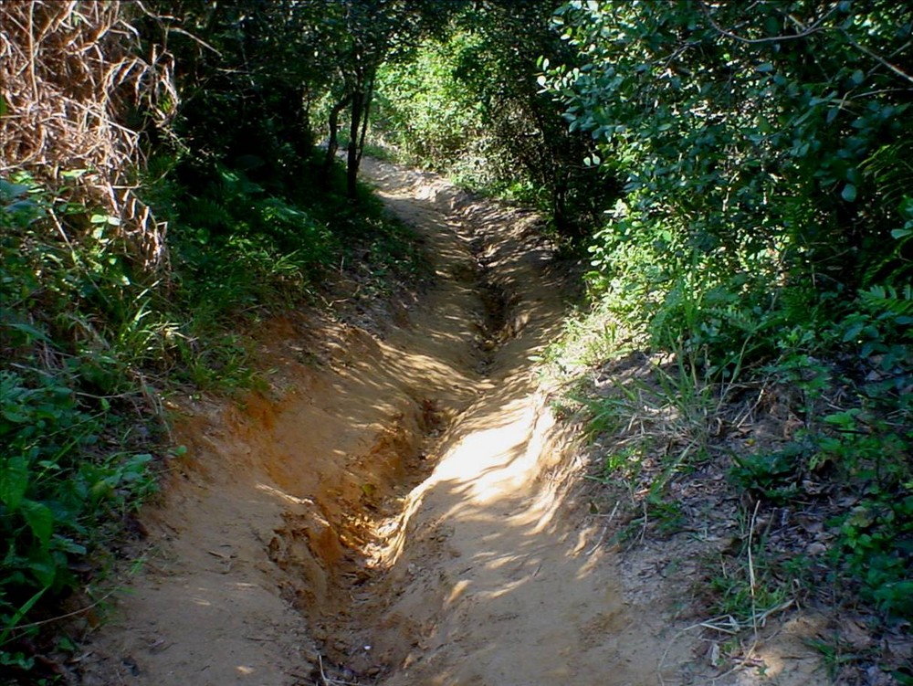 Caminho Obscuro