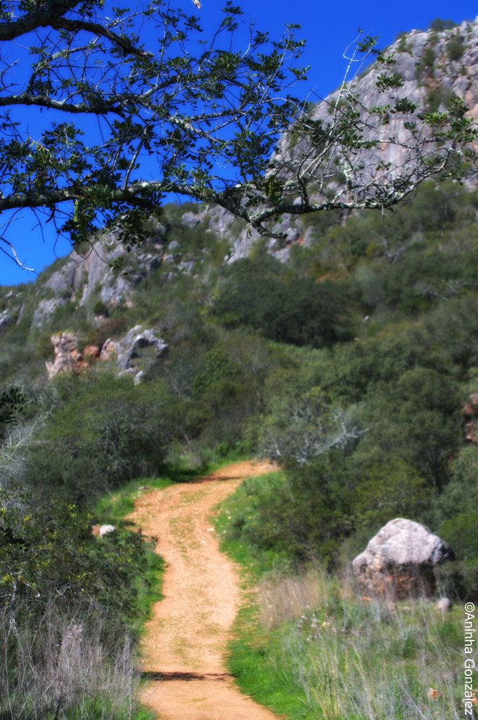 Caminho Rocha da Pena