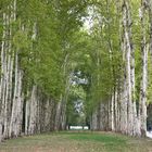 Caminhos da natureza - VERSAILLES