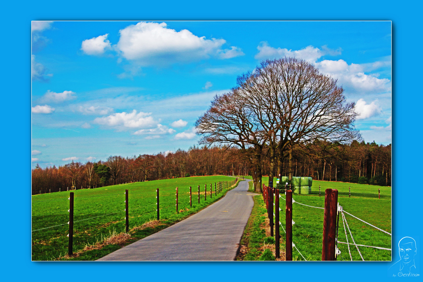 Caminito al costado del mundo....