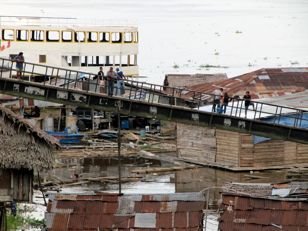 caminito de palos