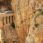 Caminito del Rey + Zugstrecke