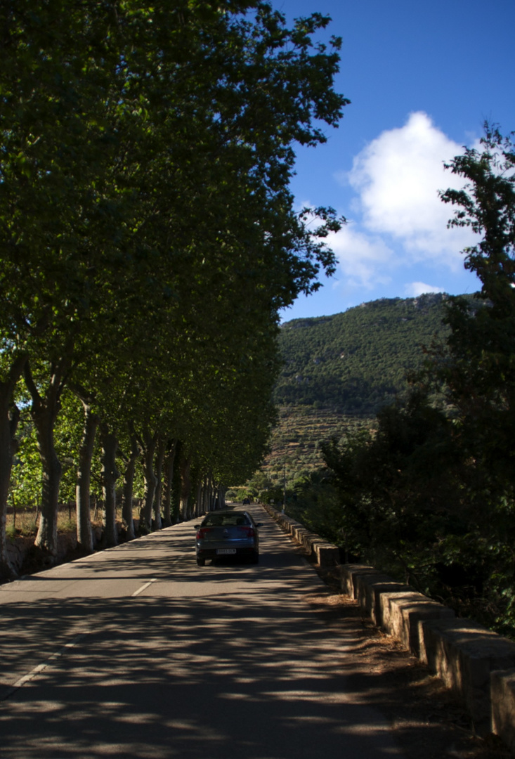 Camino - 18 mm F/3,5 1/1250 Iso 800