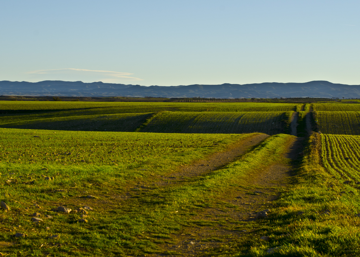 Camino.