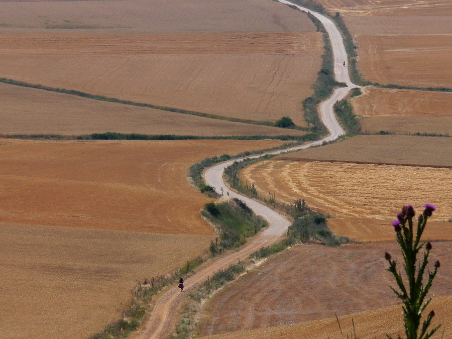 Camino Foto & Bild landschaft, wege und pfade, natur Bilder auf