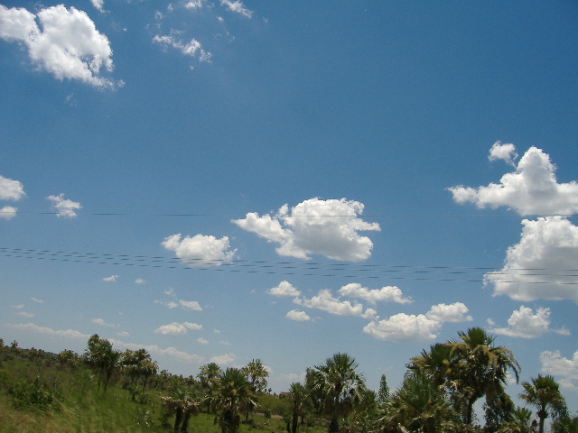 Camino a Arroyos y Esteros