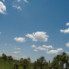 Camino a Arroyos y Esteros