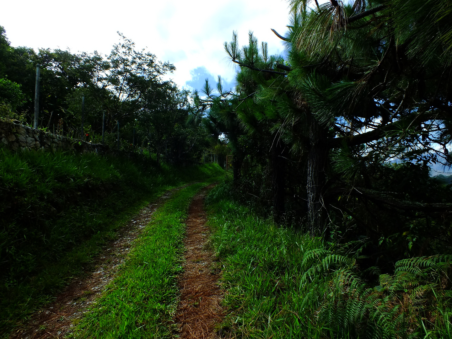 camino a casa