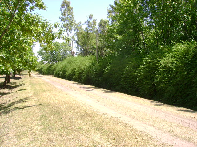 Camino a casa