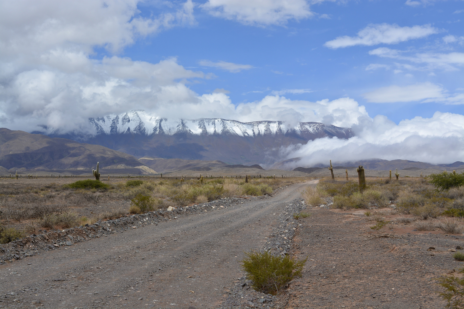 Camino a Cerro Negro