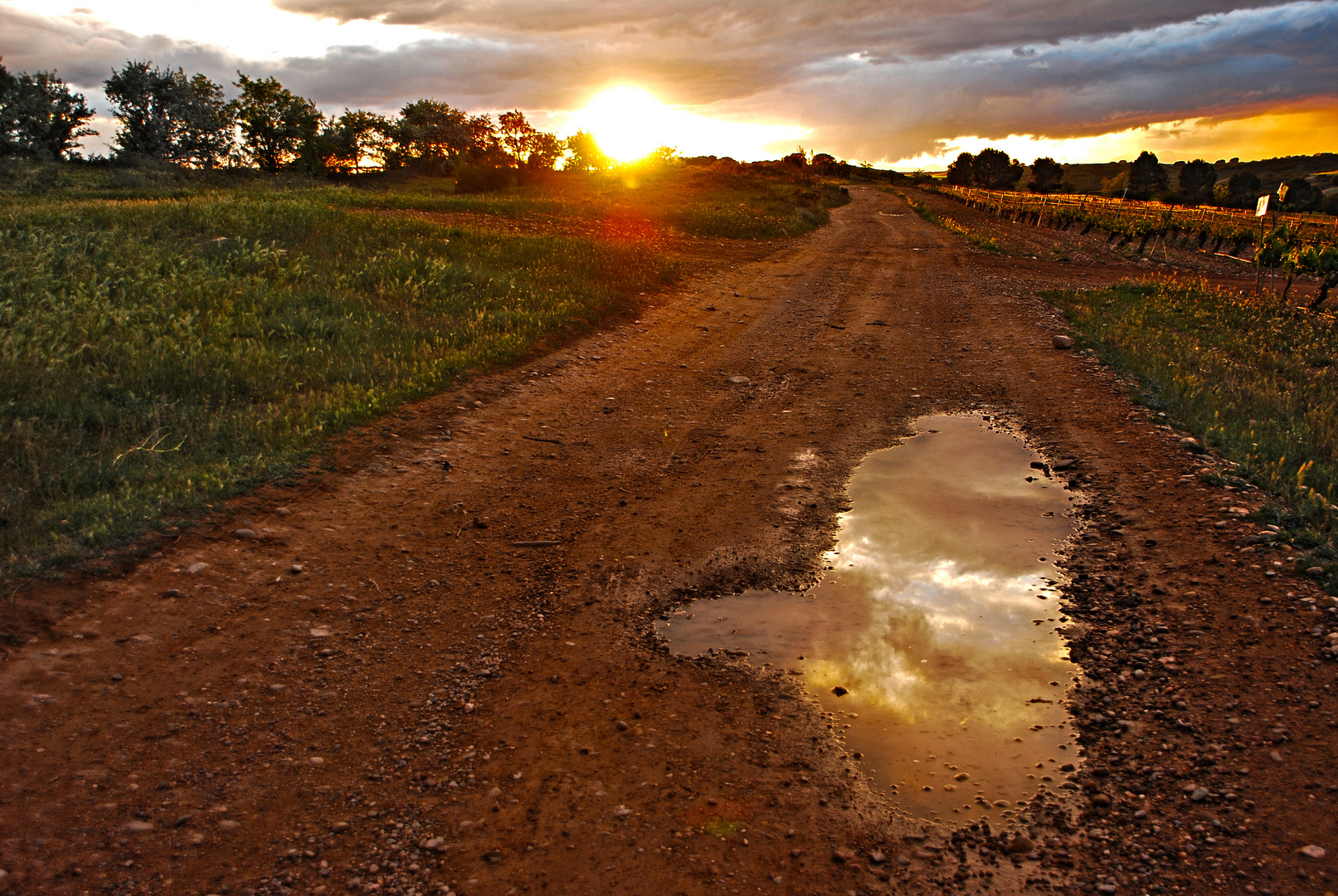 Camino a la Rioja