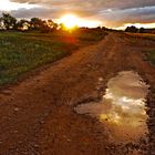 Camino a la Rioja