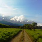 Camino a la tierra prometida