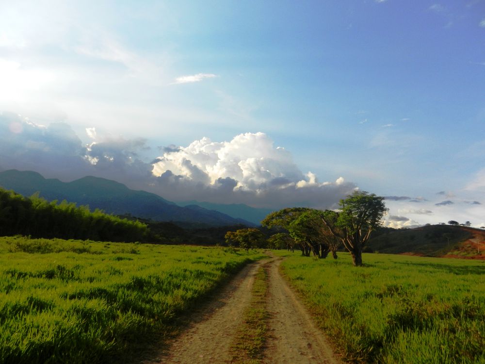 Camino a la tierra prometida de Ana Cano 