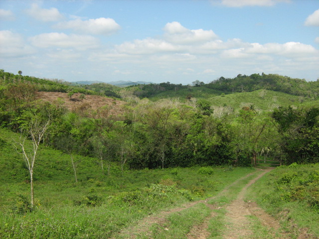 Camino a Ojital Nuevo