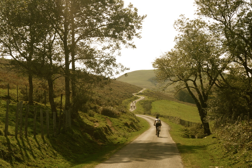 Camino a Roncesvalles