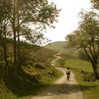 Camino a Roncesvalles