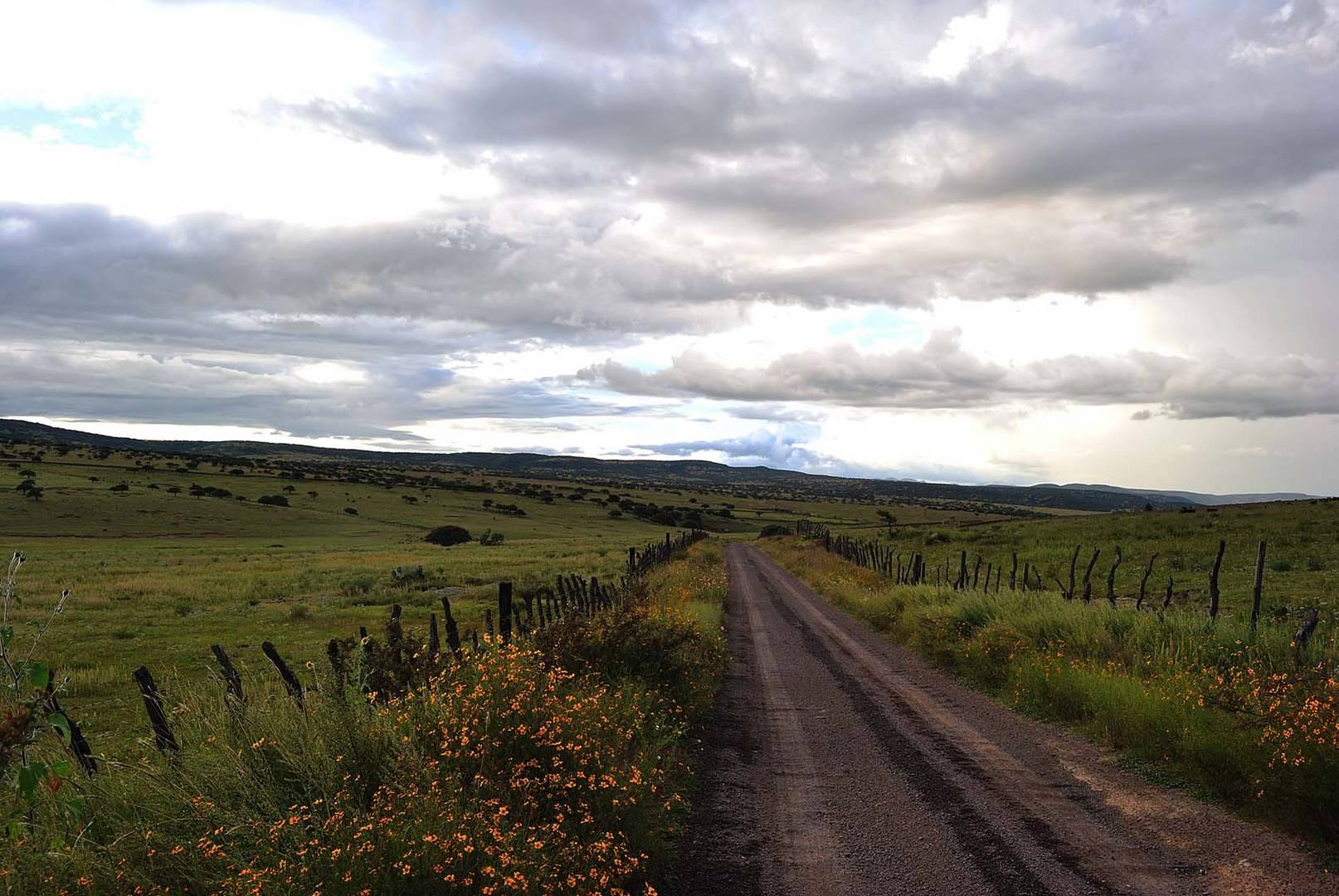 Camino a Santa Rosa