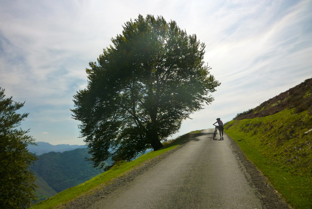 Camino a Santiago de Compostela desde Saint Jean Pied de Port, Francia.