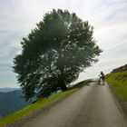 Camino a Santiago de Compostela desde Saint Jean Pied de Port, Francia.