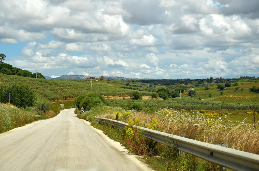 Camino a Selinunte II