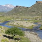 camino a villa Pehuenia...