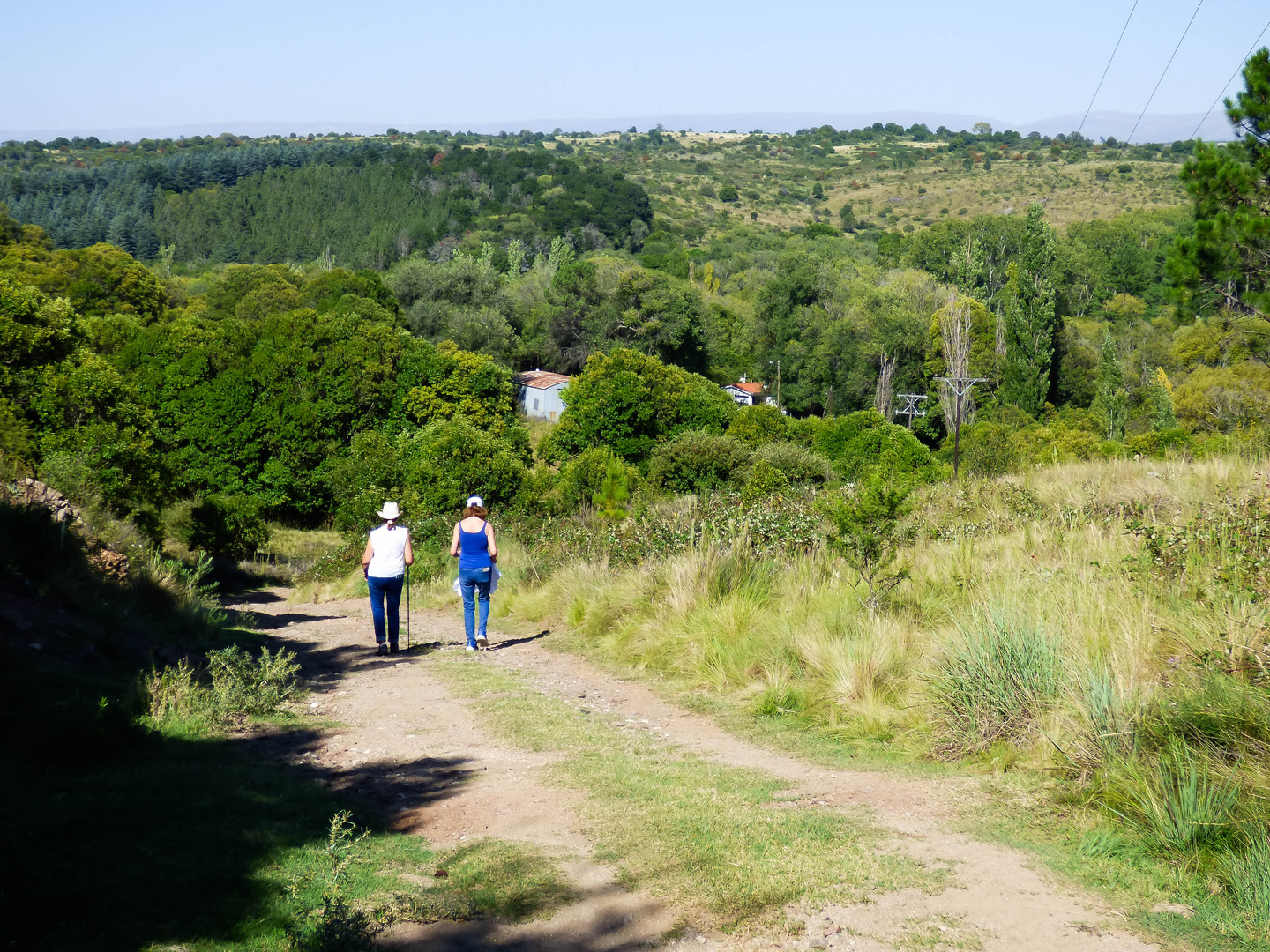 Camino abajo