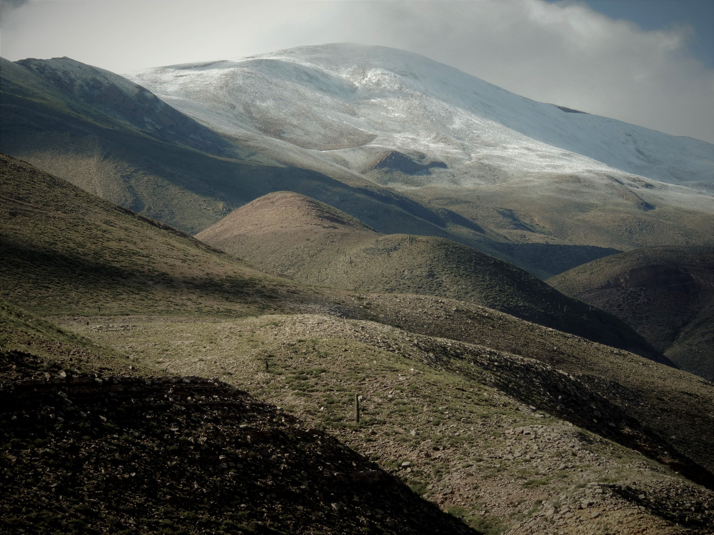 Camino al Abra de Punta Corral