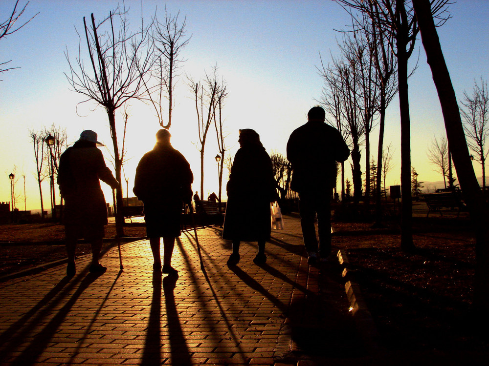 camino al atardecer