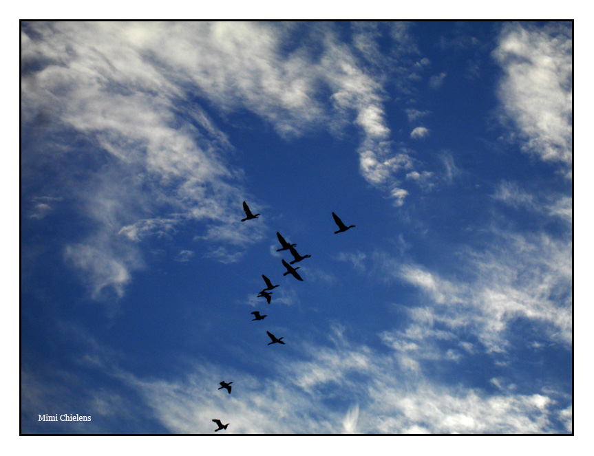 camino al cielo