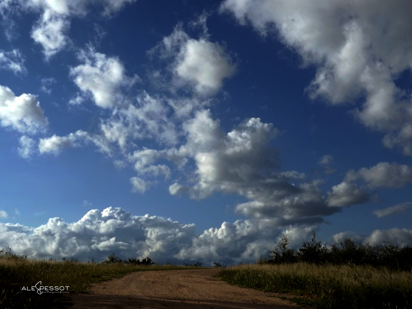 Camino al cielo