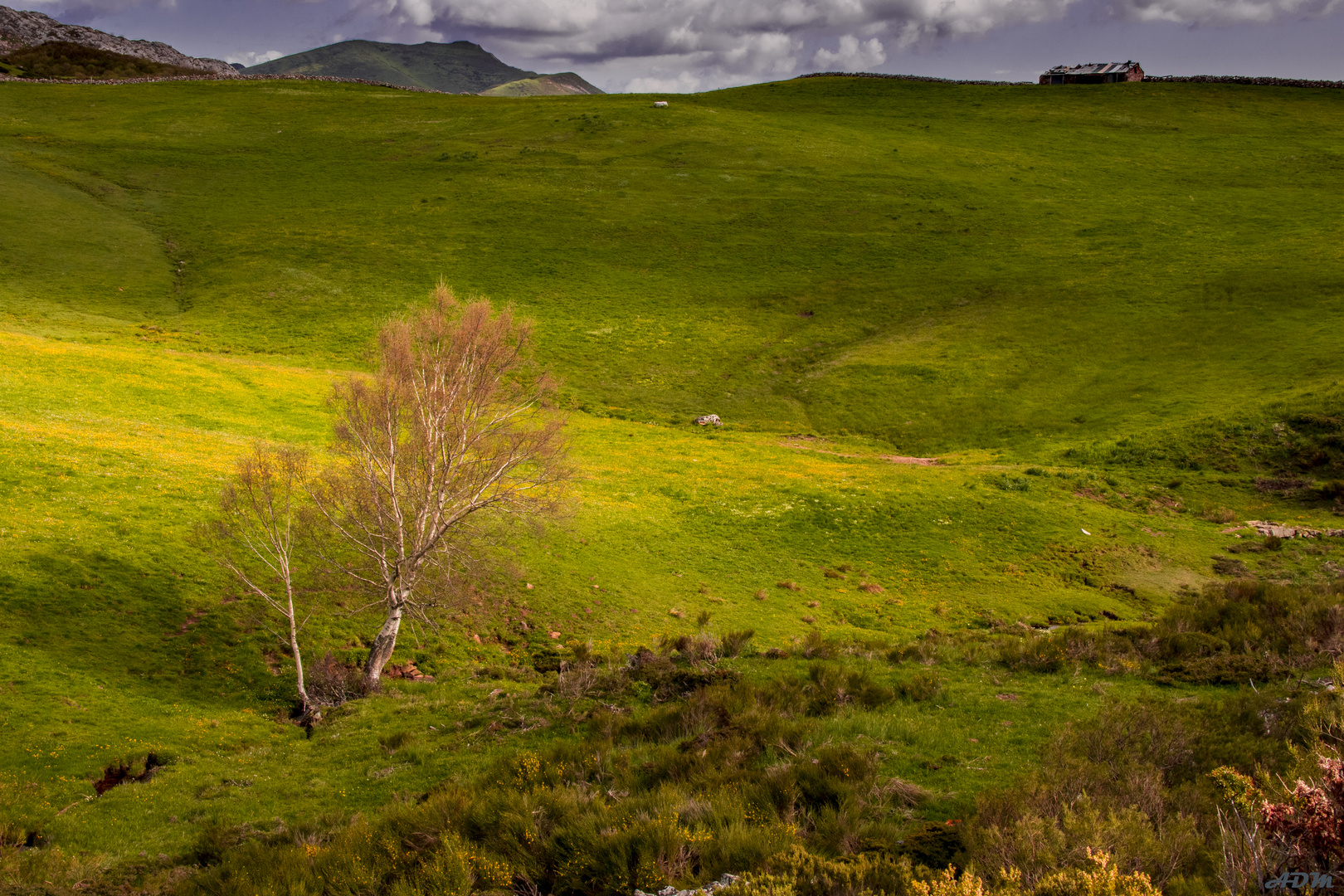 Camino al Cornon