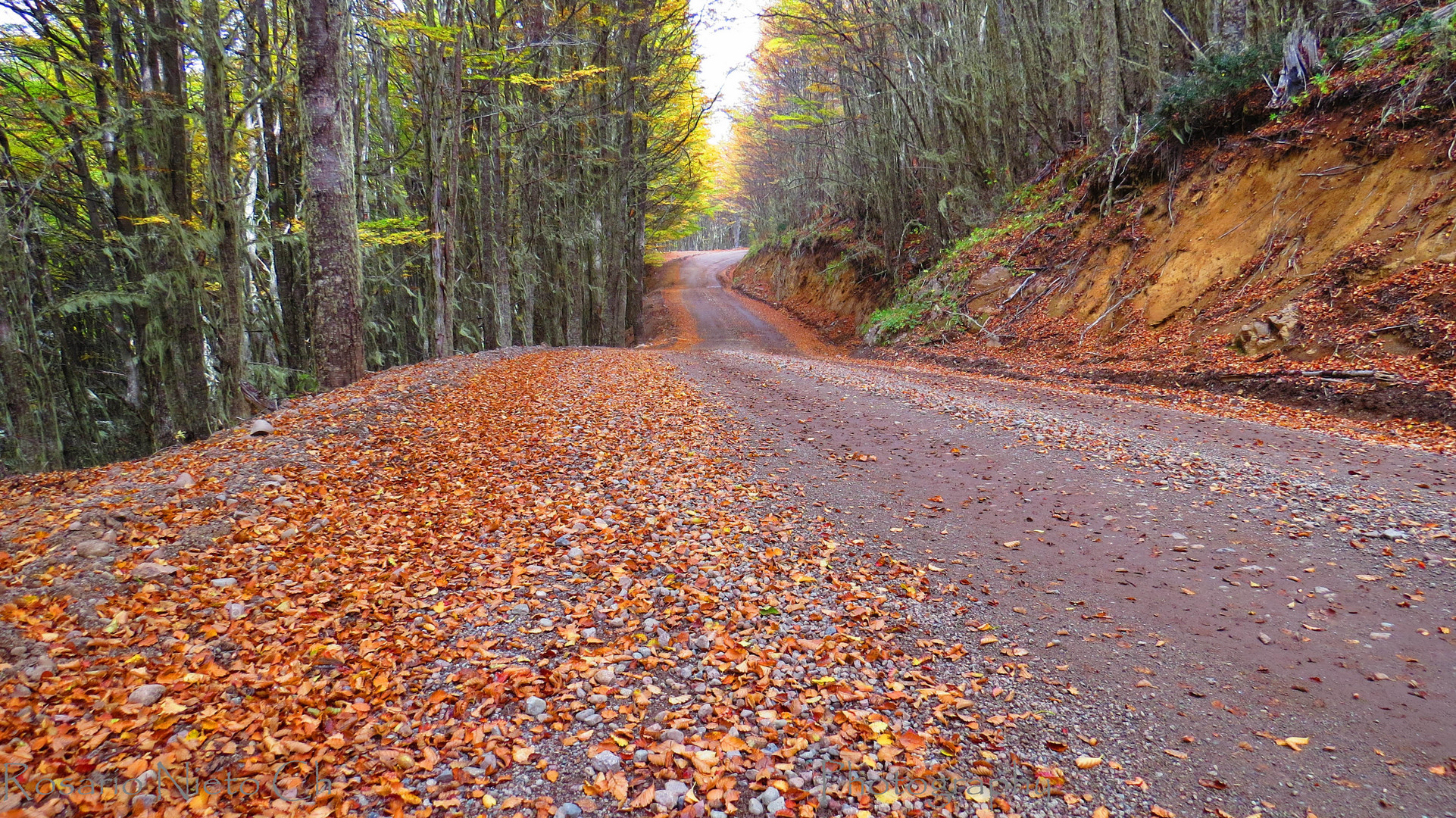 Camino al Lago Castor