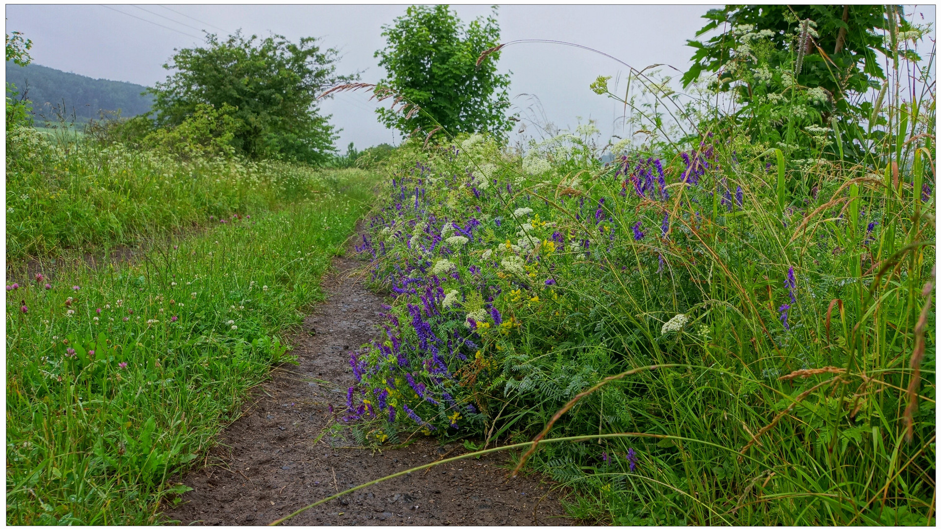 camino al lago (Weg zum See)