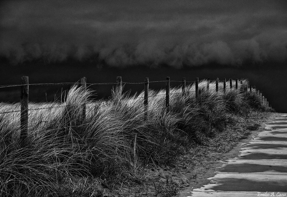 Camino al mar. Ter Heijde. Holanda.