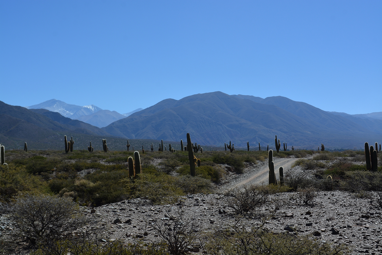 Camino al Nevado