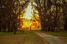 Camino al ocaso by Roberto Justo Robiolo 