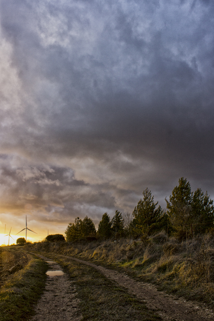 Camino al ocaso